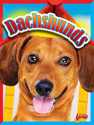 cover image of Dachshunds